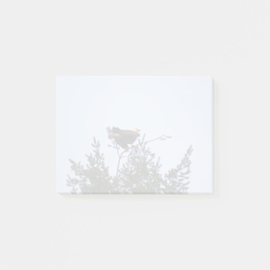 Bald Eagle Post-it® Notes (Voorkant)