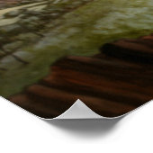 Bald Eagle Poster (Hoek)