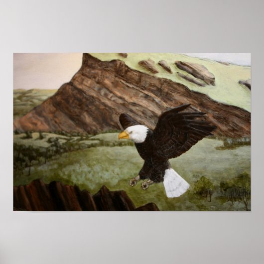Bald Eagle Poster (Voorkant)