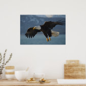 Bald Eagle Poster (Keuken)
