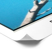 Bald Eagle Poster (Hoek)