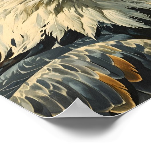 Bald Eagle  Poster (Hoek)