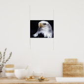 Bald Eagle Poster (Keuken)