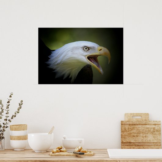 Bald Eagle poster (Keuken)