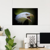 Bald Eagle poster (Thuiskantoor)