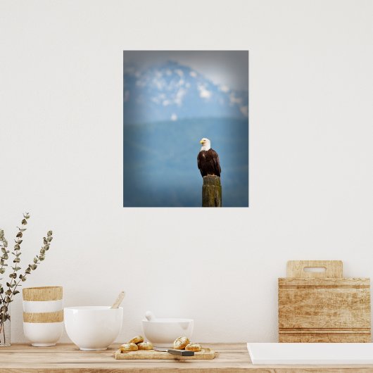 Bald Eagle Poster (Keuken)
