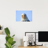Bald Eagle poster (Thuiskantoor)