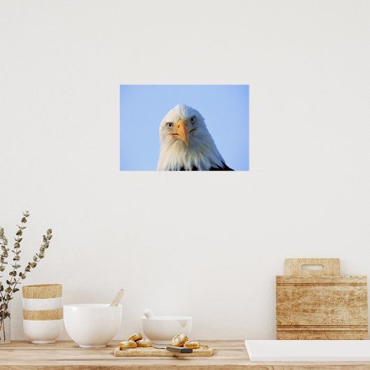 Bald Eagle poster (Keuken)