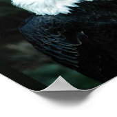 Bald Eagle Poster (Hoek)