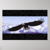 Bald Eagle Poster (Voorkant)