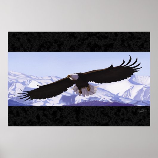 Bald Eagle Poster (Voorkant)