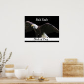 Bald Eagle Poster (Keuken)