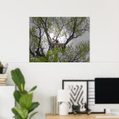 Bald Eagle - Poster (Thuiskantoor)