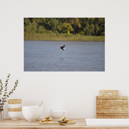 Bald Eagle Poster (Keuken)