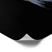 Bald Eagle Poster (Hoek)