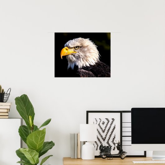 Bald Eagle Poster (Thuiskantoor)