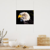 Bald Eagle Poster (Keuken)