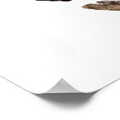 Bald Eagle Poster (Hoek)