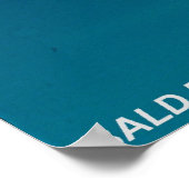 Bald Eagle Poster (Hoek)