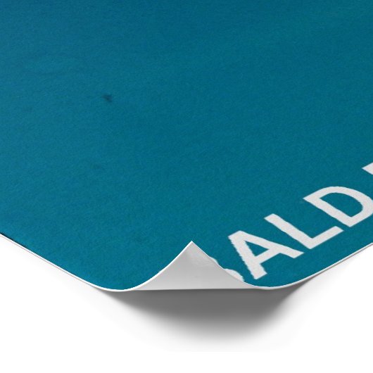 Bald Eagle Poster (Hoek)