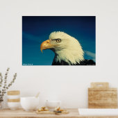 Bald Eagle Poster (Keuken)