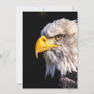 Bald Eagle Profile Blank Note Kaart