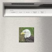 Bald Eagle Profile Magnet (Insitu (Vaatwasser))