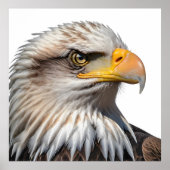 Bald Eagle Profile Poster (Voorkant)