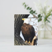 Bald Eagle, Proud and Strong Briefkaart (Staand voorkant)