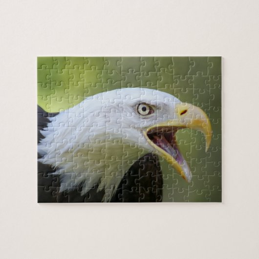 Bald Eagle puzzel (Horizontaal)