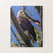 Bald Eagle Puzzle Legpuzzel (Verticaal)
