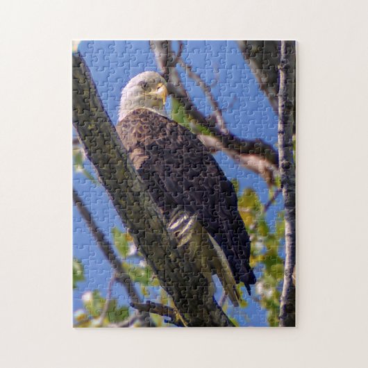 Bald Eagle Puzzle Legpuzzel (Verticaal)