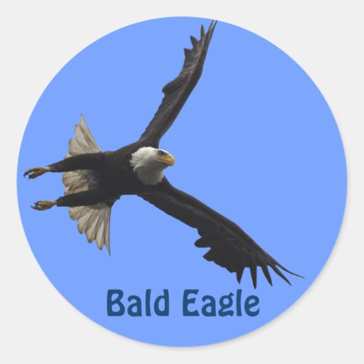 Bald Eagle Raptor Birdlover's Wildlife Sticker (Voorkant)
