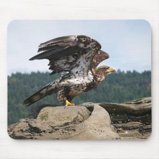 Bald Eagle Ready for Takeoff - muispad Muismat (Voorkant)