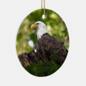 Bald Eagle Rest Stop Keramisch Ornament (Rechts)