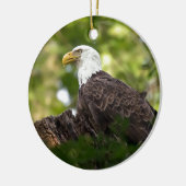 Bald Eagle Rest Stop Keramisch Ornament (Links)