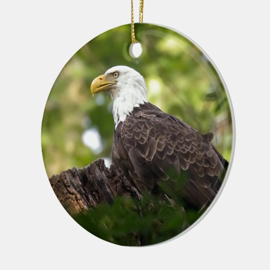 Bald Eagle Rest Stop Keramisch Ornament (Links)