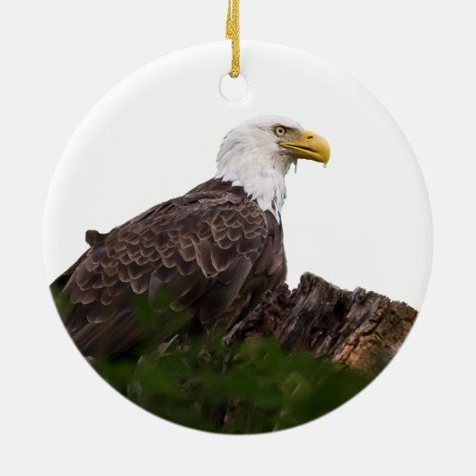 Bald Eagle Rest Stop Keramisch Ornament (Achterkant)