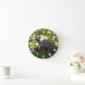 Bald Eagle Rest Stop Ronde Klok (Huis)