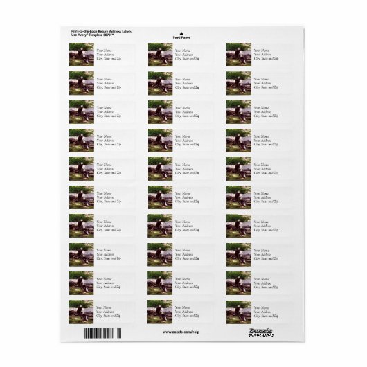 Bald Eagle Return-label Etiket (Full Sheet)