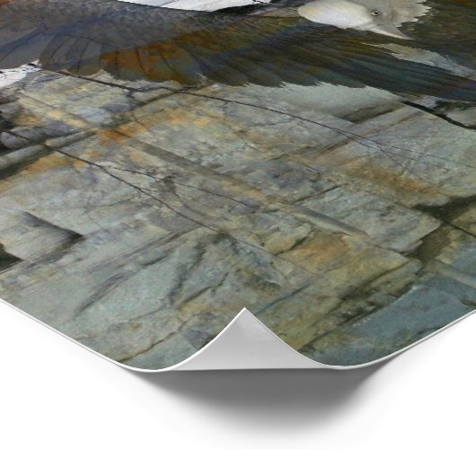 Bald Eagle Rock Wall reflecteert in water Poster (Hoek)