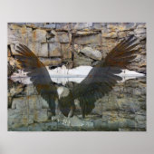 Bald Eagle Rock Wall reflecteert in water Poster (Voorkant)