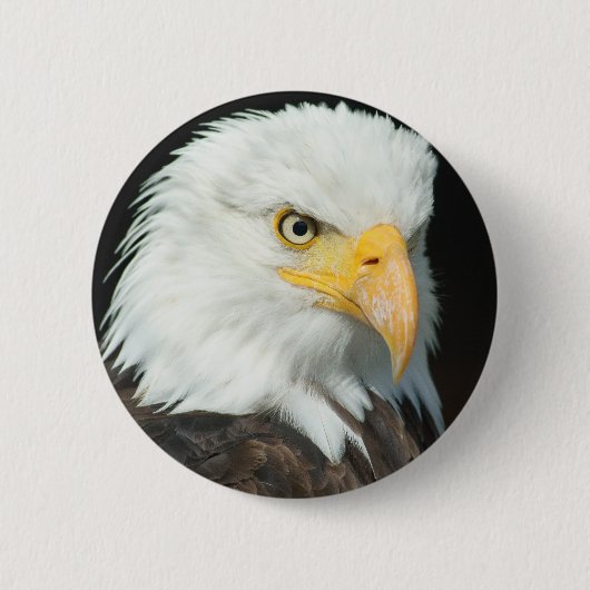 Bald Eagle Ronde Button 5,7 Cm (Voorkant)