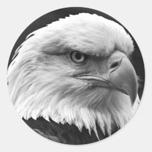 Bald Eagle Ronde Sticker