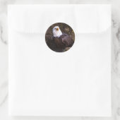 Bald Eagle Ronde Sticker (Tas)