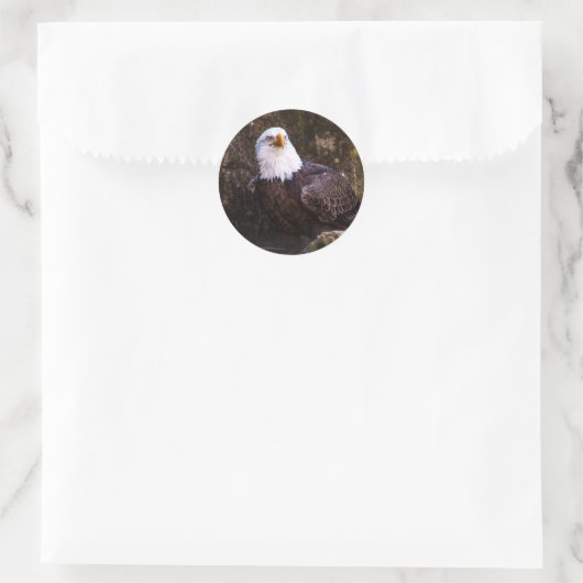 Bald Eagle Ronde Sticker (Tas)
