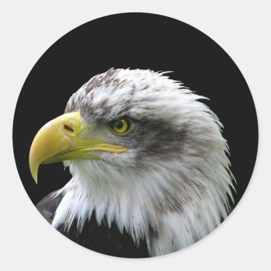 Bald Eagle Ronde Sticker (Voorkant)