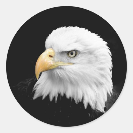 Bald Eagle Ronde Sticker (Voorkant)