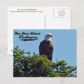 Bald Eagle San Juan Island, Briefkaart Washington (Voorkant / Achterkant)