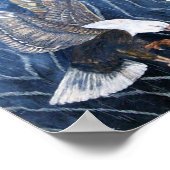 Bald Eagle Scratch Poster (Hoek)